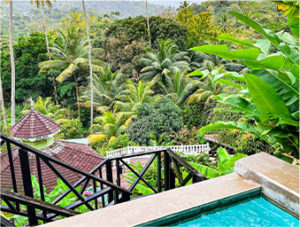 doux soufriere